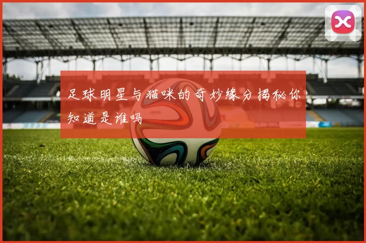 足球明星与猫咪的奇妙缘分揭秘你知道是谁吗