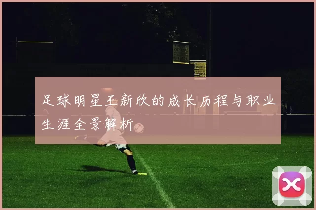 足球明星王新欣的成长历程与职业生涯全景解析