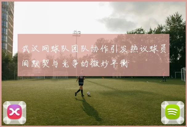 武汉网球队团队协作引发热议球员间默契与竞争的微妙平衡