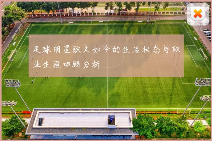 足球明星欧文如今的生活状态与职业生涯回顾分析