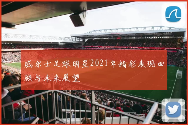 威尔士足球明星2021年精彩表现回顾与未来展望