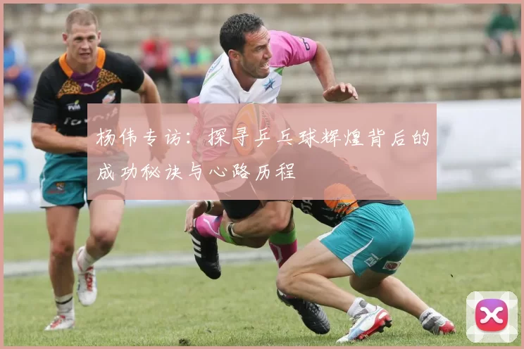 杨伟专访：探寻乒乓球辉煌背后的成功秘诀与心路历程