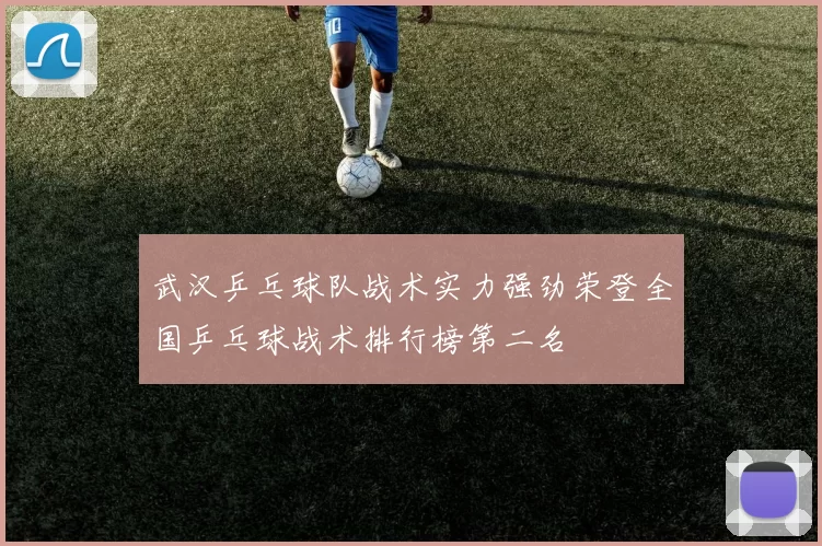 武汉乒乓球队战术实力强劲荣登全国乒乓球战术排行榜第二名