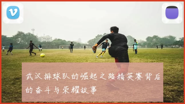 武汉排球队的崛起之路精英赛背后的奋斗与荣耀故事