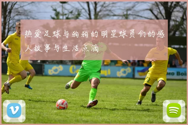 热爱足球与狗狗的明星球员们的感人故事与生活点滴