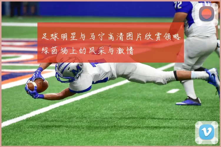 足球明星与马宁高清图片欣赏领略绿茵场上的风采与激情