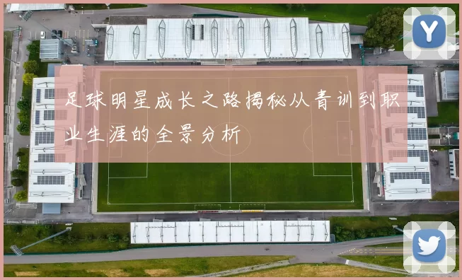 足球明星成长之路揭秘从青训到职业生涯的全景分析