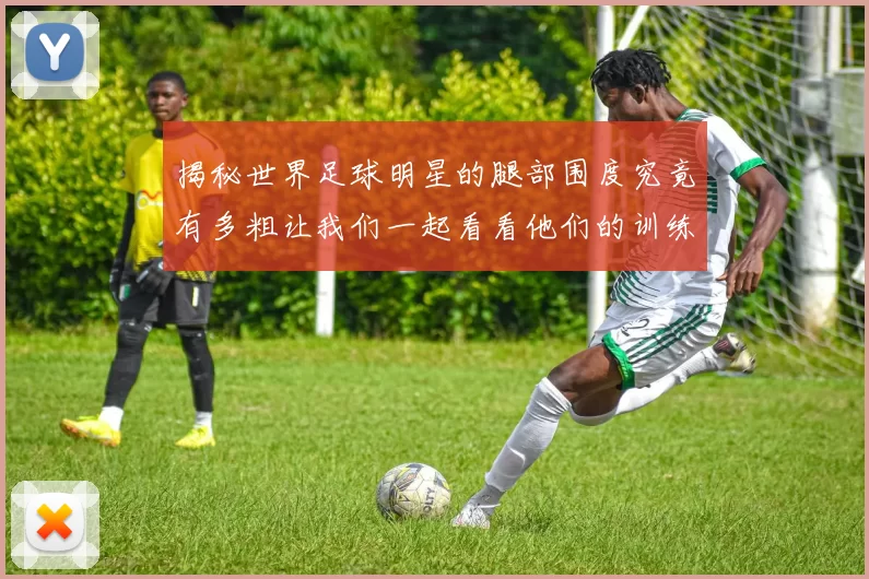揭秘世界足球明星的腿部围度究竟有多粗让我们一起看看他们的训练与体型秘诀