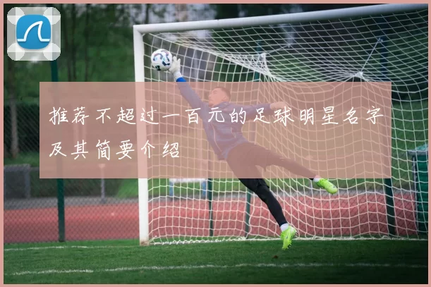 推荐不超过一百元的足球明星名字及其简要介绍