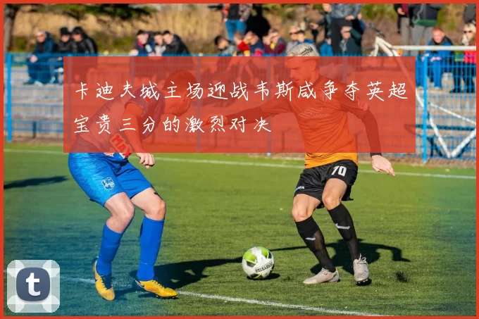 卡迪夫城主场迎战韦斯咸争夺英超宝贵三分的激烈对决