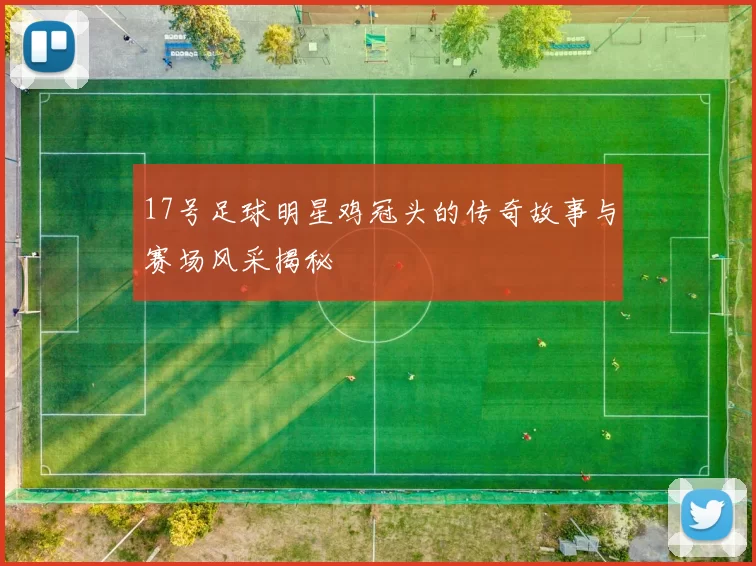17号足球明星鸡冠头的传奇故事与赛场风采揭秘