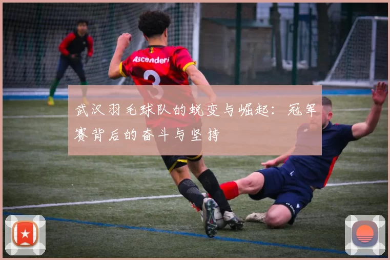 武汉羽毛球队的蜕变与崛起：冠军赛背后的奋斗与坚持