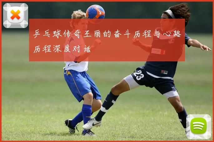 乒乓球传奇王丽的奋斗历程与心路历程深度对话