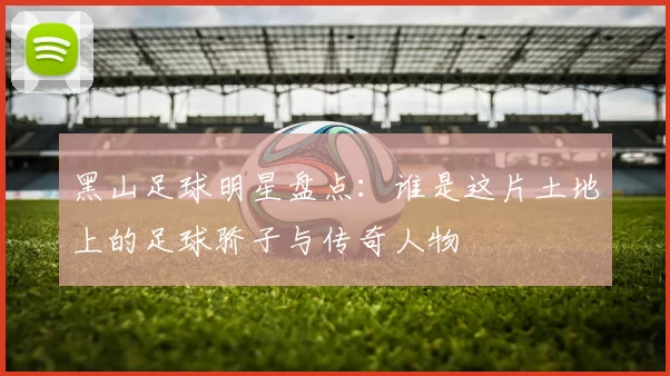 黑山足球明星盘点：谁是这片土地上的足球骄子与传奇人物