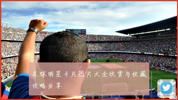 足球明星卡片图片大全欣赏与收藏攻略分享