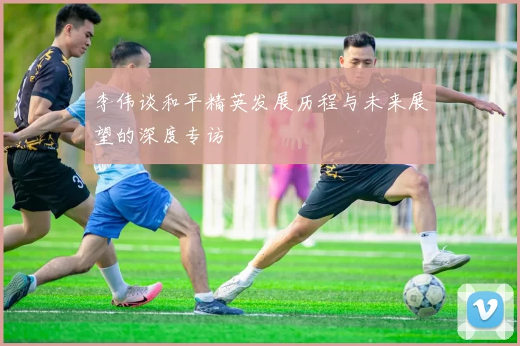 李伟谈和平精英发展历程与未来展望的深度专访