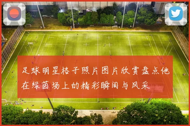 足球明星格子照片图片欣赏盘点他在绿茵场上的精彩瞬间与风采