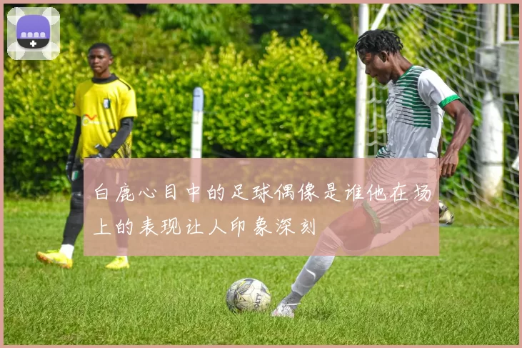 白鹿心目中的足球偶像是谁他在场上的表现让人印象深刻