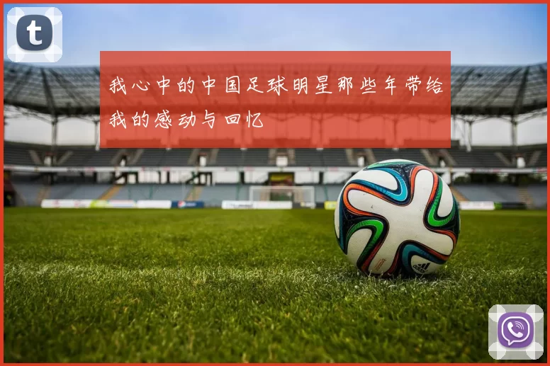 我心中的中国足球明星那些年带给我的感动与回忆
