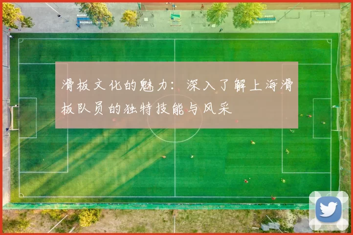 滑板文化的魅力：深入了解上海滑板队员的独特技能与风采