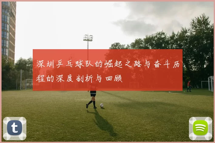 深圳乒乓球队的崛起之路与奋斗历程的深度剖析与回顾