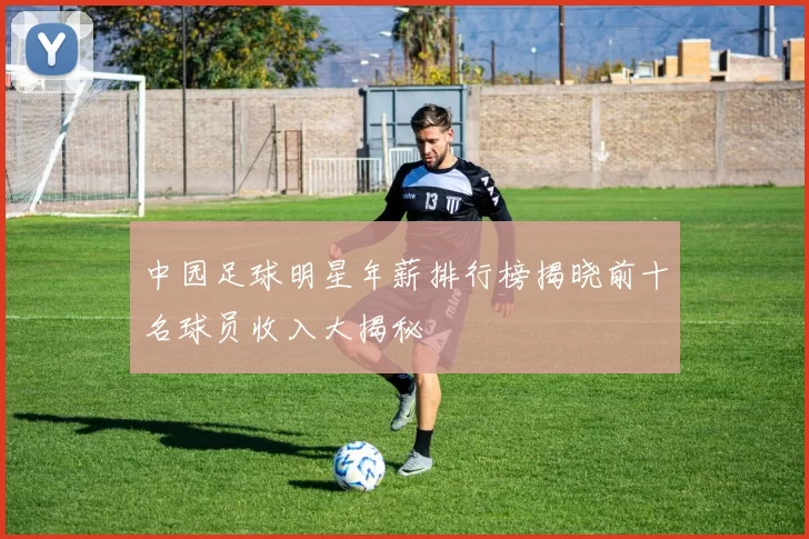 中园足球明星年薪排行榜揭晓前十名球员收入大揭秘